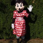 Fotografie 1. Pohádkový kostým Minnie Mouse