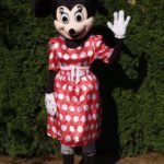 Fotografie 5. Pohádkový kostým Minnie Mouse