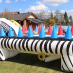 Fotografie 4. Létající kuličky / ZEBRA