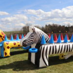 Fotografie 5. Létající kuličky / ZEBRA