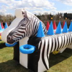 Fotografie 6. Létající kuličky / ZEBRA