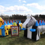 Fotografie 8. Létající kuličky / ZEBRA