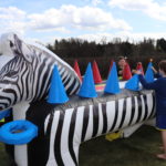Fotografie 9. Létající kuličky / ZEBRA