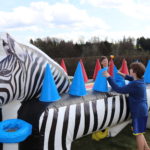 Fotografie 11. Létající kuličky / ZEBRA