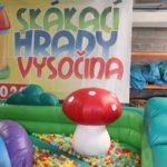 Fotografie 1. Lvíče plné kuliček